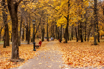 autumn in the park