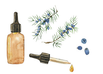 Essential oil of juniper in glass brown bottle isolated on white background. Watercolor hand drawing illustration. Clip art for medicine, healthy food, covers, cards.