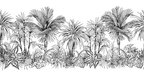 Seamless horizontal border with sketchy palm trees. - 332358107