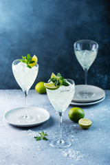 Summer cocktail mojito