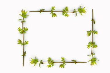 Frame of twigs with young leaves. Place for text. Mock-up
