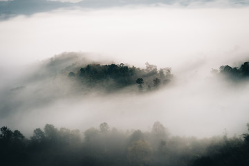 fog in mountains