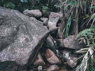 Moody Stream with Stones.