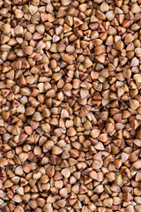 Buckwheat groats closeup. Diet concept. Abstract background.