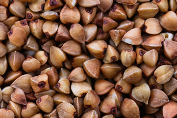 Buckwheat groats macro. Healthy nutrition, diet. Abstract background.