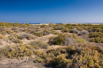Salt marshes on the beach of Morro Jable, Fuerteventura, Canary Islands, Spain, Europe