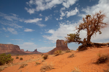 National parks usa southwest area of giant rock formations and table mountains in Monument Valley