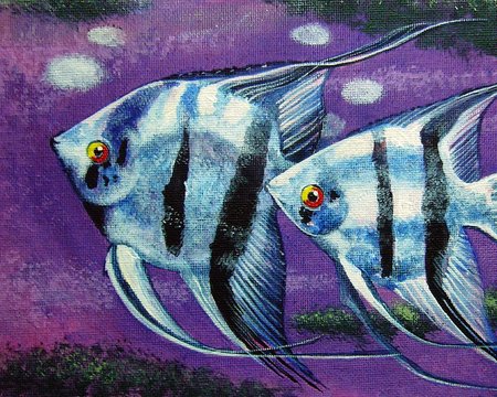 Oil painting of Fancy Angel fish pictures Auspiciousness