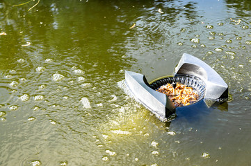 Skimmer floats on surface of water and collects leaves, dirt and other foreign objects from...