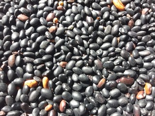 Black beans seed as background