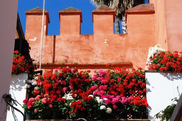 Geraniums and castle wall in the Santa Cruz district, Seville, Spain.