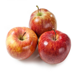 Red Delicious apple isolated on white background Mela Delizia