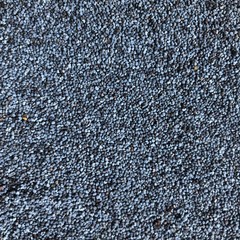 poppy seeds close-up