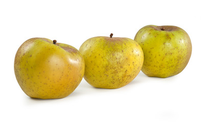 Rennet apple Mela Renetta Canada Reinette apple isolated on white backgrounds