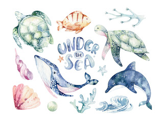 Set of sea animals. Blue watercolor ocean fish, turtle, whale and coral. Shell aquarium background. Nautical wildlife dolphin marine illustration, jellyfish, starfish © kris_art