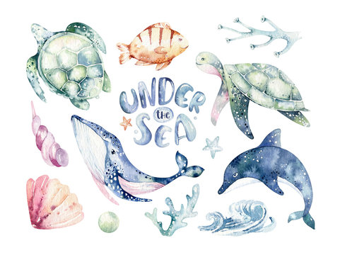 Set of sea animals. Blue watercolor ocean fish, turtle, whale and coral. Shell aquarium background. Nautical wildlife dolphin marine illustration, jellyfish, starfish
