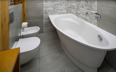 Modern loft interior of bathroom. Wooden design.  White bath with shower. Toilet and bidet.