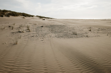 Beach in evening light on the beach of the north sea island Juist in East Frisia, Germany, Europe