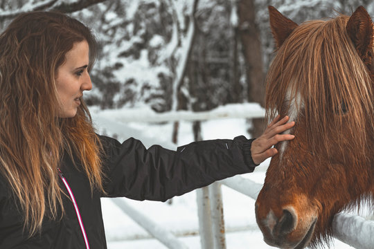 mujer joven en islandia acariciando un caballo t&iacute;pico de la regi&oacute;n, en pleno invierno