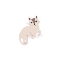 Obraz na płótnie Canvas cat funny vector style. isolated flat design.