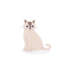 cat funny vector style. isolated flat design.