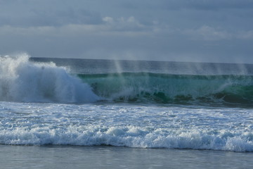 portode galinhas