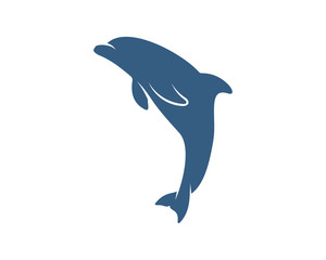 Obraz premium Dolphins logo design vector template. Silhouette of Dolphins design illustration