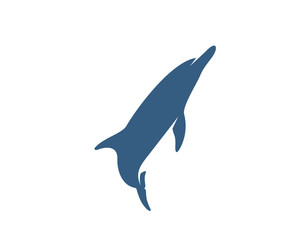 Dolphins logo design vector template. Silhouette of Dolphins design illustration