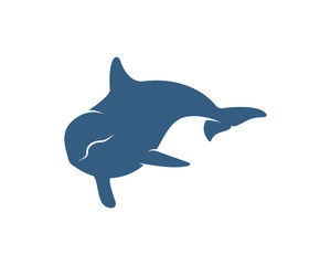 Dolphins logo design vector template. Silhouette of Dolphins design illustration