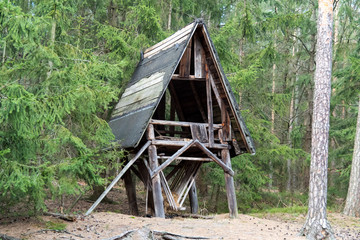 spotted deer standing near the feeders with hay