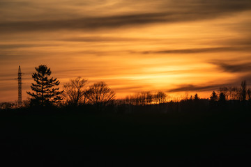 Fototapeta premium Magical sunrise sun behind the tree. There is a golden sky in the background. Dark clouds in the sky