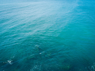 Drone aerial view of sea wave surface