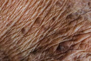 Close-up shot of the wrinkled senior skin people.