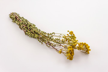 Dry bouquet Tanacetum vulgare isolated on white background. Medicinal plant, alternative medicine