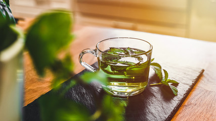 Preparation of mint tea. Mint tea for strong immunity. Tea from fresh mint. 
