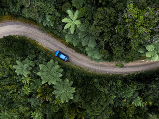 Road with a car in a jungle, aerial view