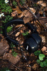 Headphone on a springly frorest floor