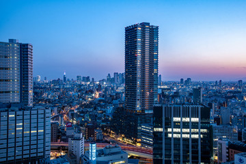 Obraz premium tokyo skyline at night