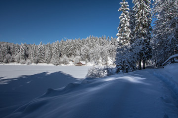 panoramic view of a snowy valley and a fir forest on a beautiful sunny day with blue skies