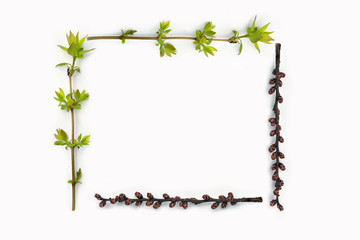 Frame of sprig of cherry with buds and twigs with new leaves. Place for text.Mock-up