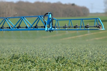 Traitement insecticide contre le charancon sur champ de colza