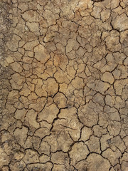 dry cracked earth
