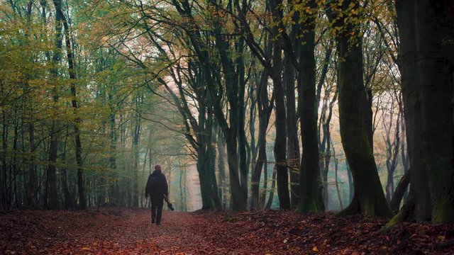 Photographer with camera walking on a forest road with mystic trees on the side on a early sun autumn morning with fog