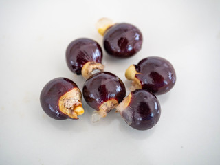 Fruit name is longan fruit Tropical fruit, sweet taste, brown bark, black grain, white background