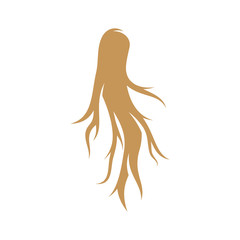 Ginseng logo design vector template. Ginseng root on white background