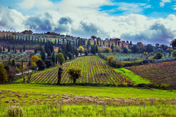 Tuscany Farm