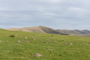 Lake district mountain landscape from field