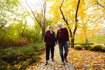 Fototapeta premium Elderly couple in love walking in the autumn park.