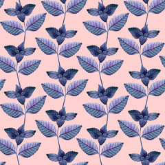 Seamless pattern of hand-painted purple basil sprigs on pink background. Abstract texture for textile, fabric, wallpaper, gift wrap design. Watercolor herb leaves. Italian cuisine ingredient