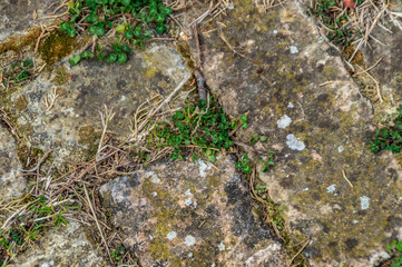 antico pavimento esterno in mattoni